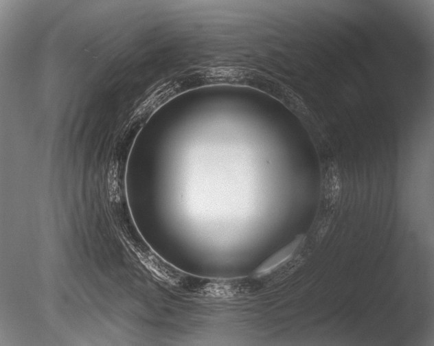 X0000086040764200703231240