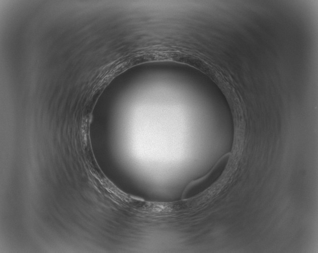 X0000086040768200703231240