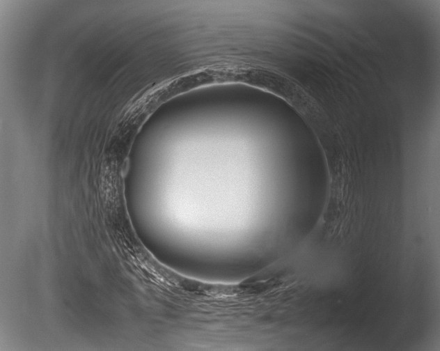 X0000086040773200703231239