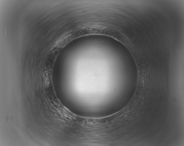 X0000086040774200703231239