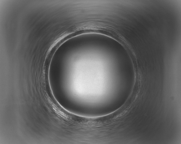 X0000086040779200703231239