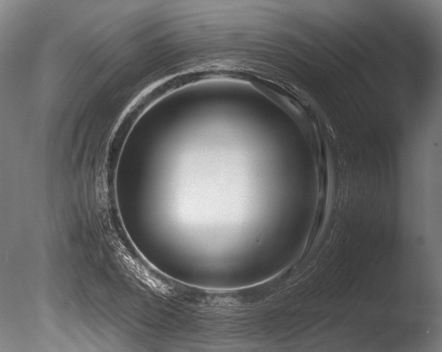 X0000086040784200703231239