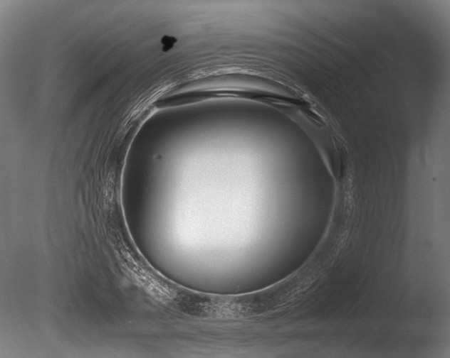 X0000086040785200703231239