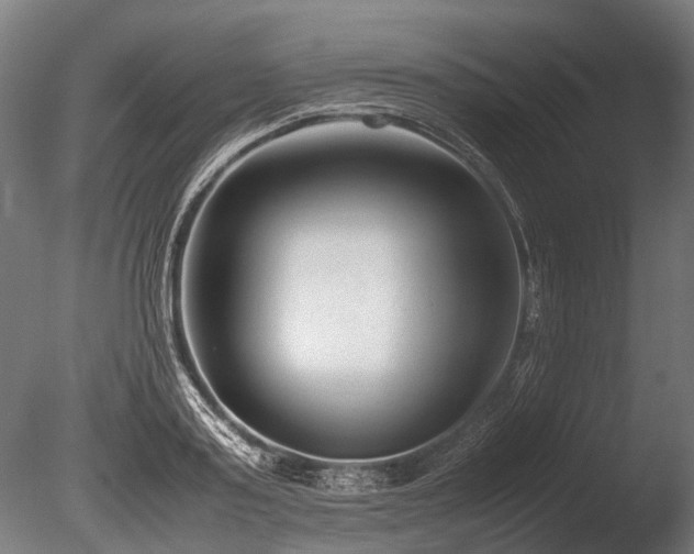 X0000086040795200703231239
