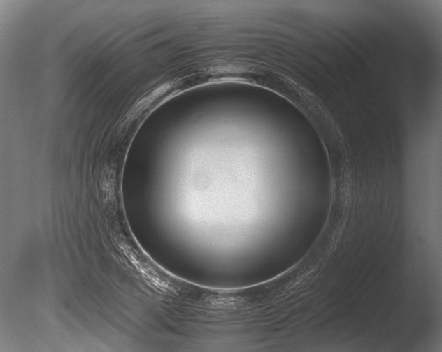 X0000086040833200703231238