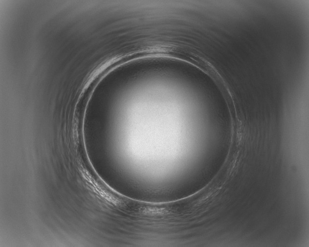 X0000086040835200703231238