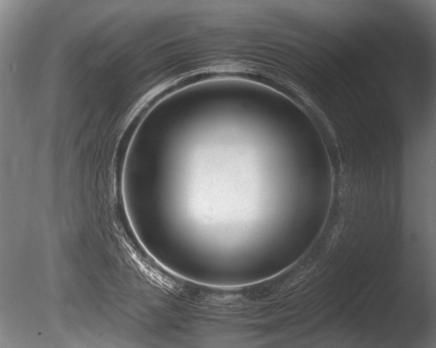 X0000086040837200703231238