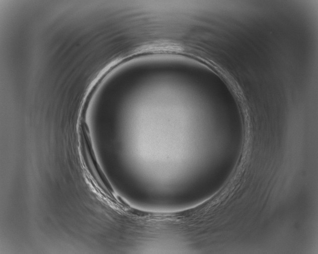X0000086040864200703231239