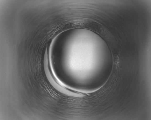 X0000086040868200703231238