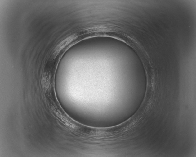 X0000086040873200703231238