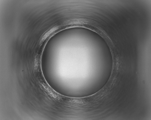 X0000086040874200703231238
