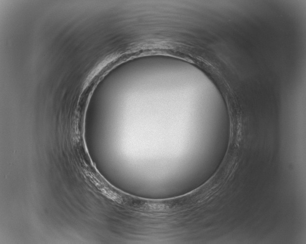 X0000086040878200703231238