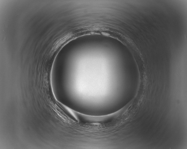 X0000086040881200703231237