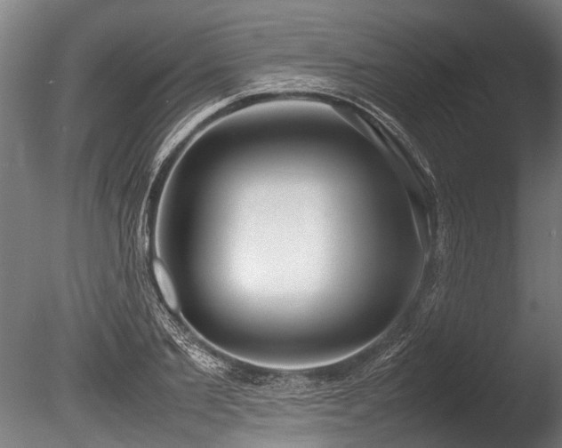 X0000086040885200703231237
