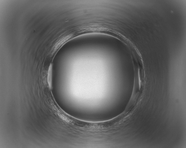 X0000086040889200703231237