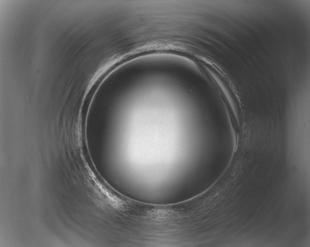 X0000086040894200703231237