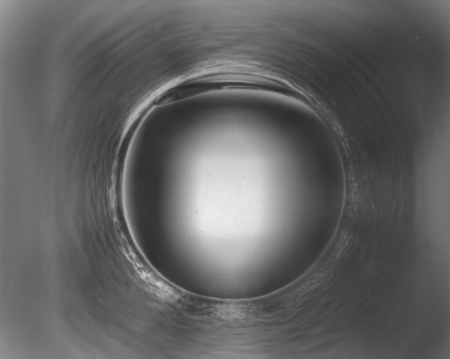 X0000086040904200703231237