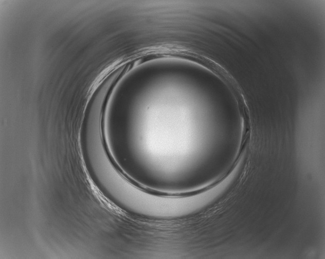 X0000086040946200703231237