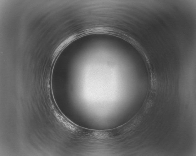 X0000086040954200703231237