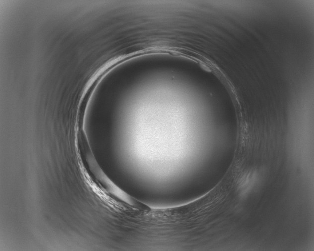 X0000086040955200703231237