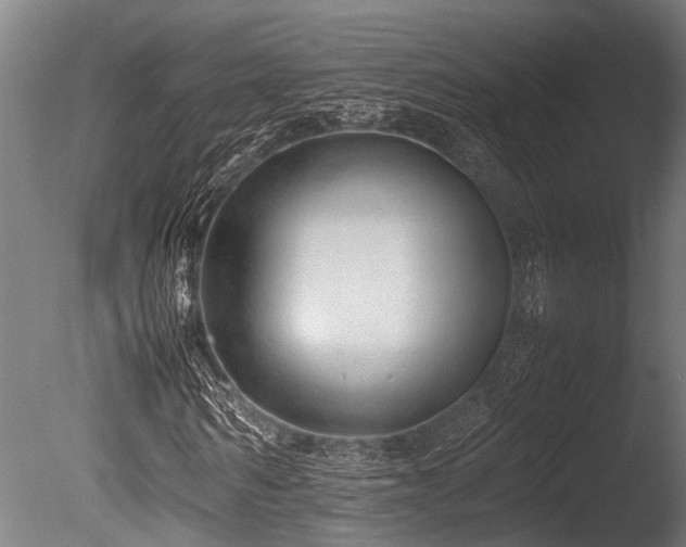 X0000086040962200703231236