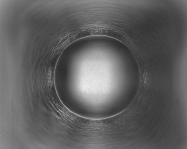 X0000086040964200703231236