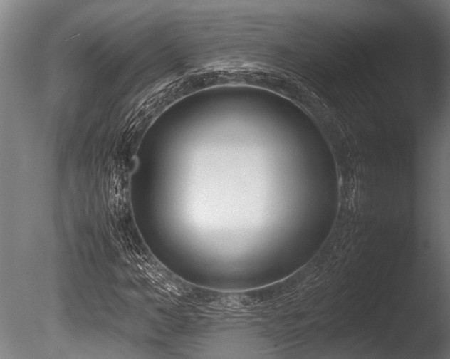 X0000086040966200703231236