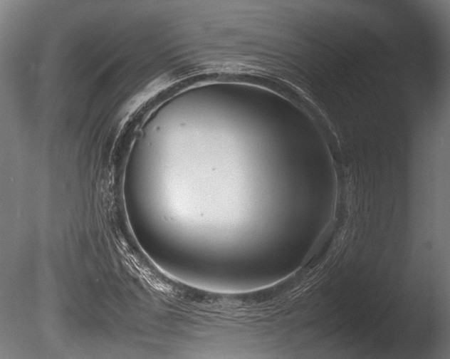 X0000086040971200703231236