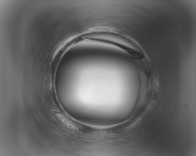 X0000086040973200703231236