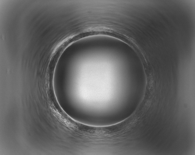 X0000086040979200703231236