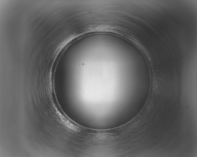 X0000086040988200703231236