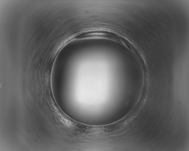 X0000086040993200703231236