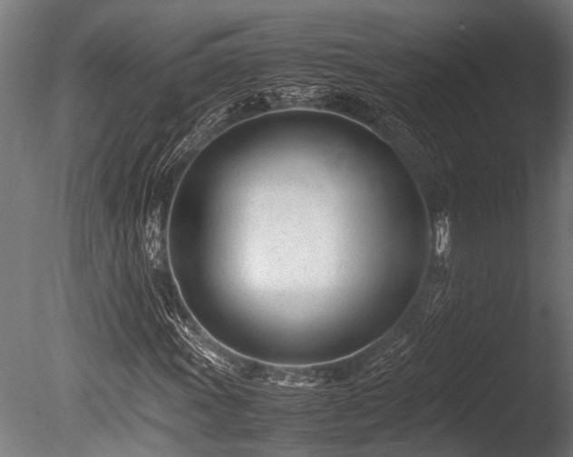 X0000086041011200703231234