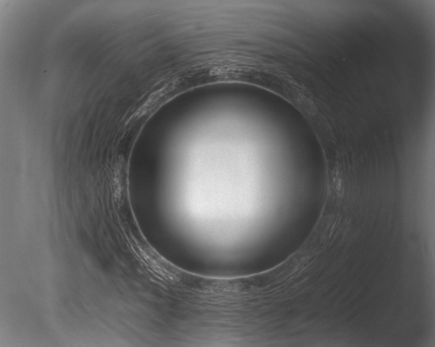 X0000086041012200703231234