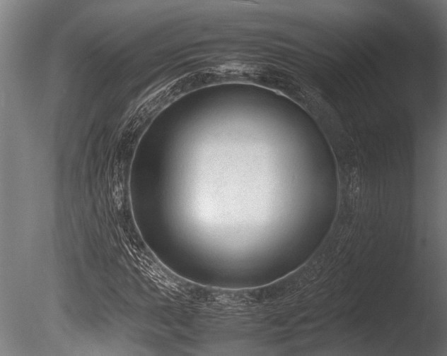 X0000086041015200703231235
