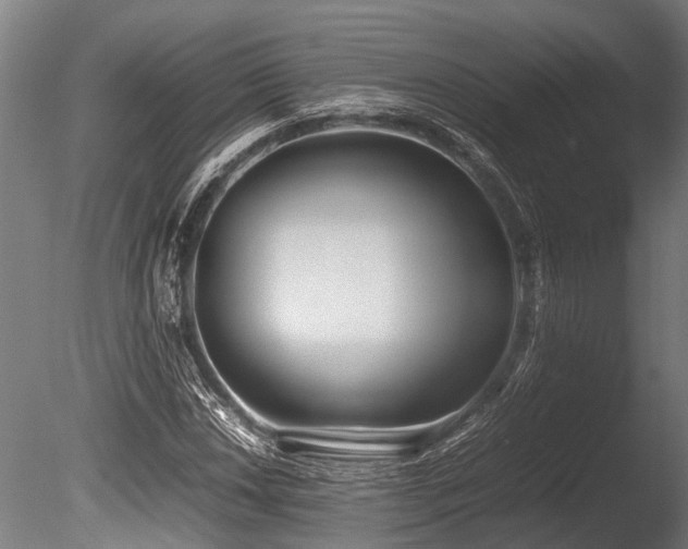 X0000086041018200703231235
