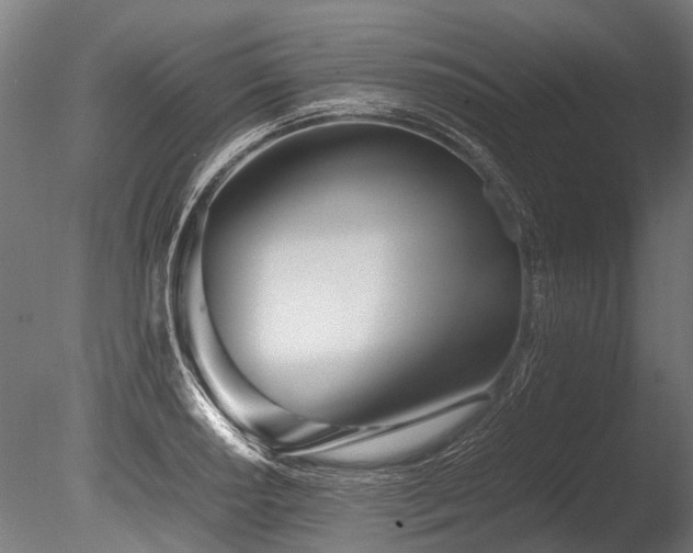 X0000086041034200703231235