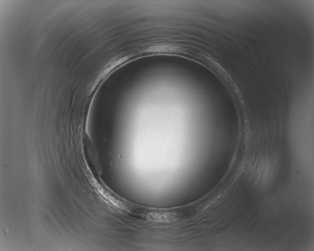 X0000086041041200703231235