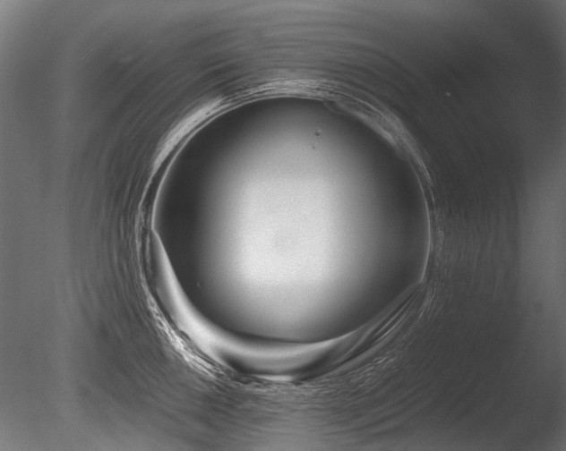 X0000086041050200703231235