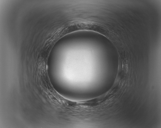 X0000086041061200703231234