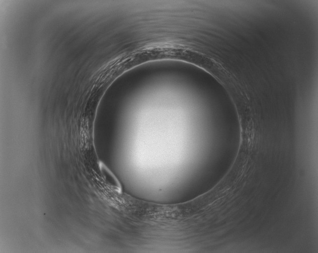 X0000086041062200703231234