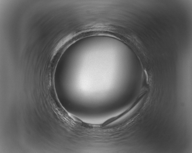 X0000086041069200703231234