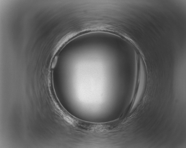 X0000086041093200703231234