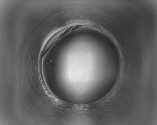 X0000086041104200703231234