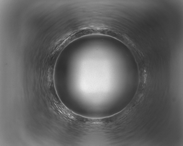 X0000086041110200703231233