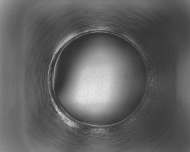 X0000086041135200703231233