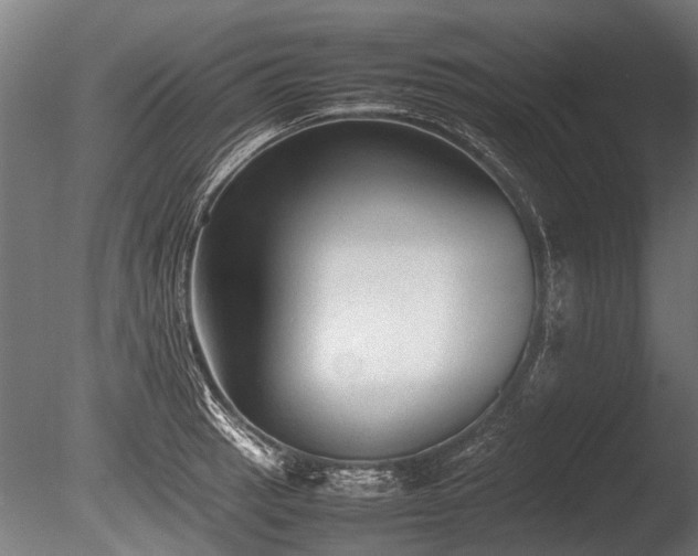 X0000086041137200703231233