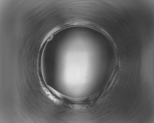 X0000086041138200703231233