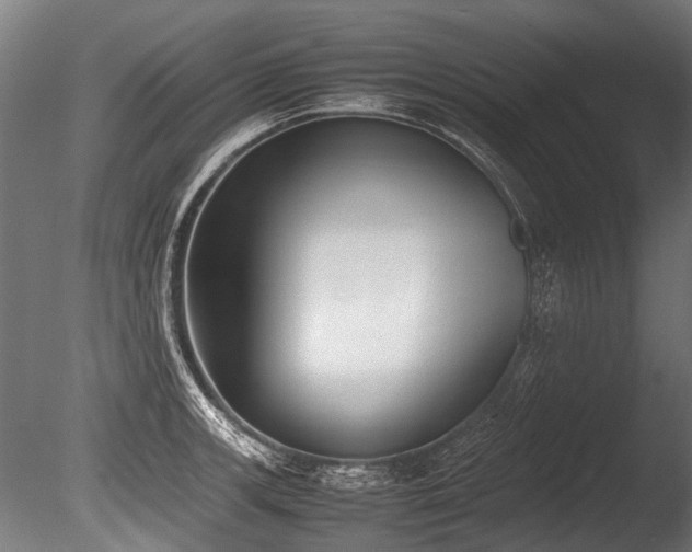 X0000086041139200703231233