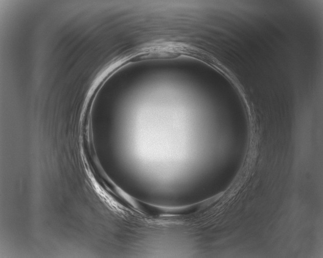 X0000086041152200703231234